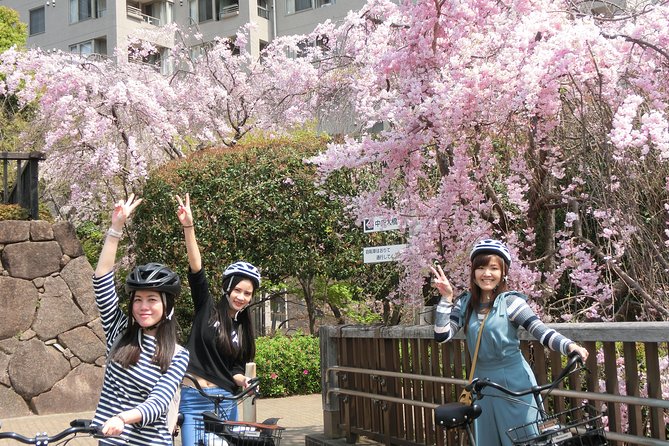 Tokyo Cherry Blossoms Blooming Spots E-Bike 3 Hour Tour - Meeting Point and Pickup