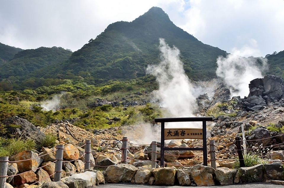 Tokyo: Hakone Fuji Day Tour W/ Cruise, Cable Car, Volcano - Starting Locations