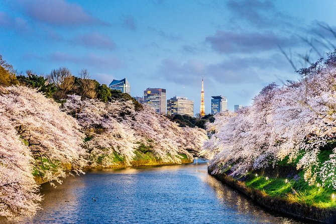 Tokyo Private Sightseeing Tour by English Speaking Chauffeur - Pick-up and Drop-off Locations