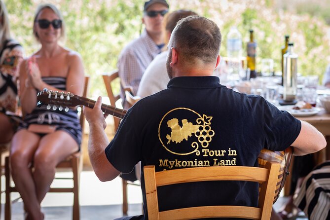Tour and Wine Tasting in Mykonian Land - The Wine Production Process Revealed