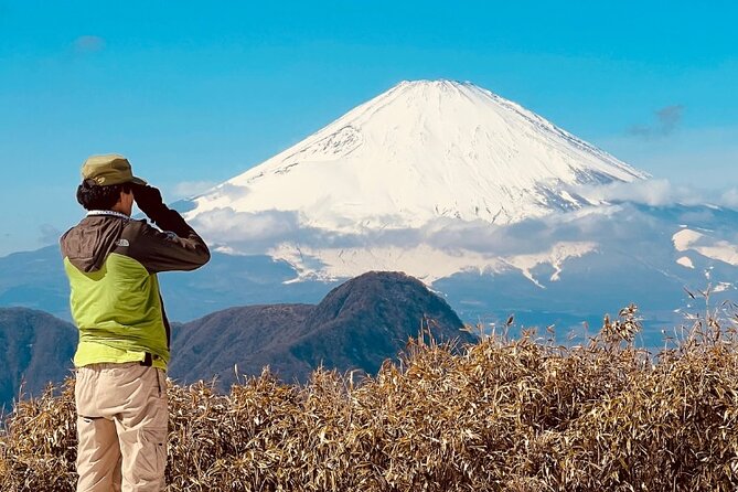 Traverse Outer Rim of Hakone Caldera and Enjoy Onsen Hiking Tour - Tour Details