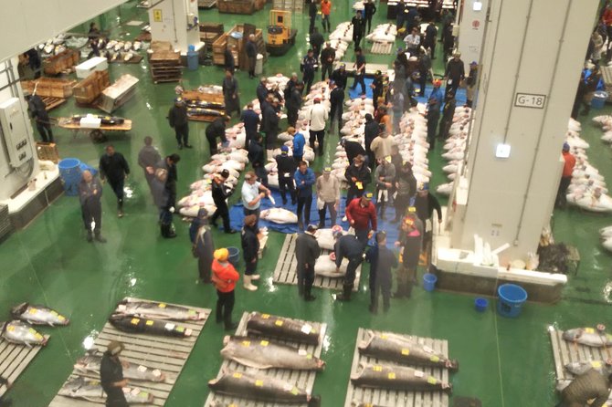 Tuna Auction at Toyosu Market With Qualified Guide and Early Morning Tour of Tsukiji Outer Market - Meeting and End Points