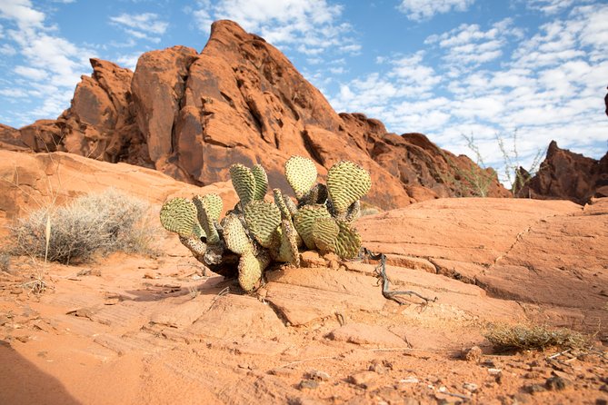 Valley of Fire and Lost City Museum Tour From Las Vegas - Exploring Valley of Fire State Park