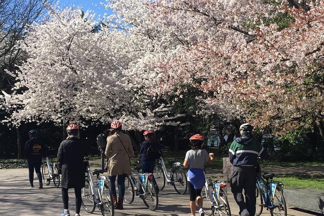 Washington DC Cherry Blossoms By Bike Tour - Meeting and Pickup Details