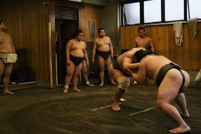 Watch Sumo Morning Practice at Stable in Tokyo - Meeting Point and Pickup
