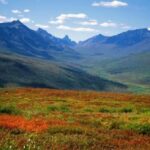 3-days-tour-fall-color-in-yukon-from-whitehorse-key-points