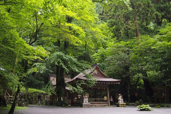 1 Day Hiking Tour in the Mountains of Kyoto - Tour Details