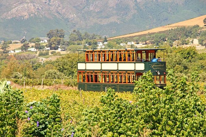 1 Day Taste +Tram the Winelands: Franschhoek, Stellenbosch, Paarl - Muratie Wine Tasting