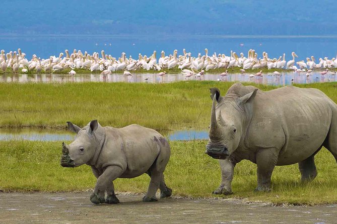 4 Days Tarangire, Serengeti & Ngorongoro Crater Joining Group Safari Tour - Tour Details