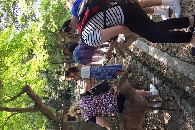 All Must-Sees in 3 Hours - Nara Park Classic Tour! From JR Nara! - Confirmation and Booking