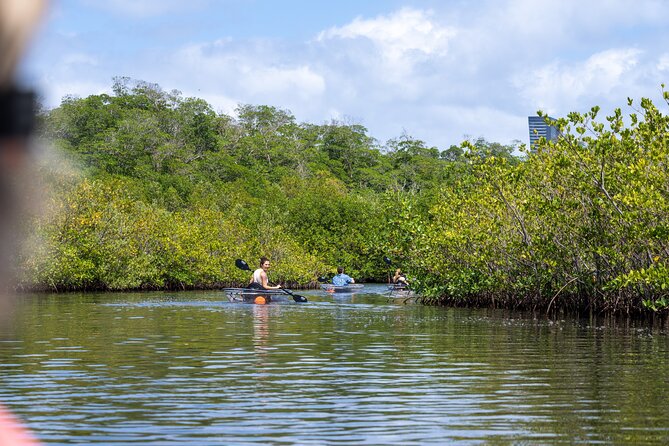 Clear Kayak Tour in North Miami Beach - Mangrove Tunnels - Accessibility and Restrictions