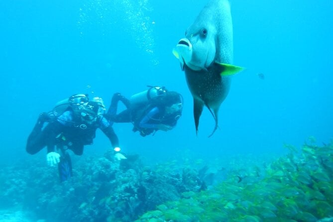 Discover Scuba - Dive Package Options and Inclusions