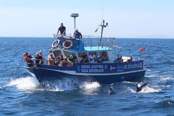 Dolphin Watching in Gibraltar With the Blue Boat Dolphin Safari - Accessibility and Accommodations