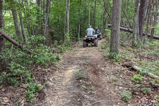 East Tennessee Off Road ATV Guided Experience - Accessibility and Participation