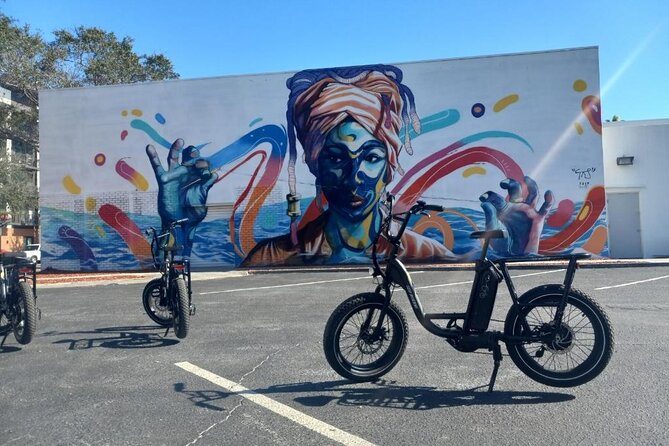 Electric Bike Guided City & Mural Tour - Discovering St. Pete Murals