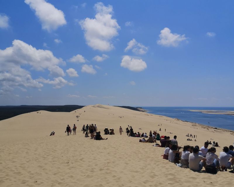 From Bordeaux: Arcachon Bay Afternoon and Seafood - Pilat Dune Panoramic Views