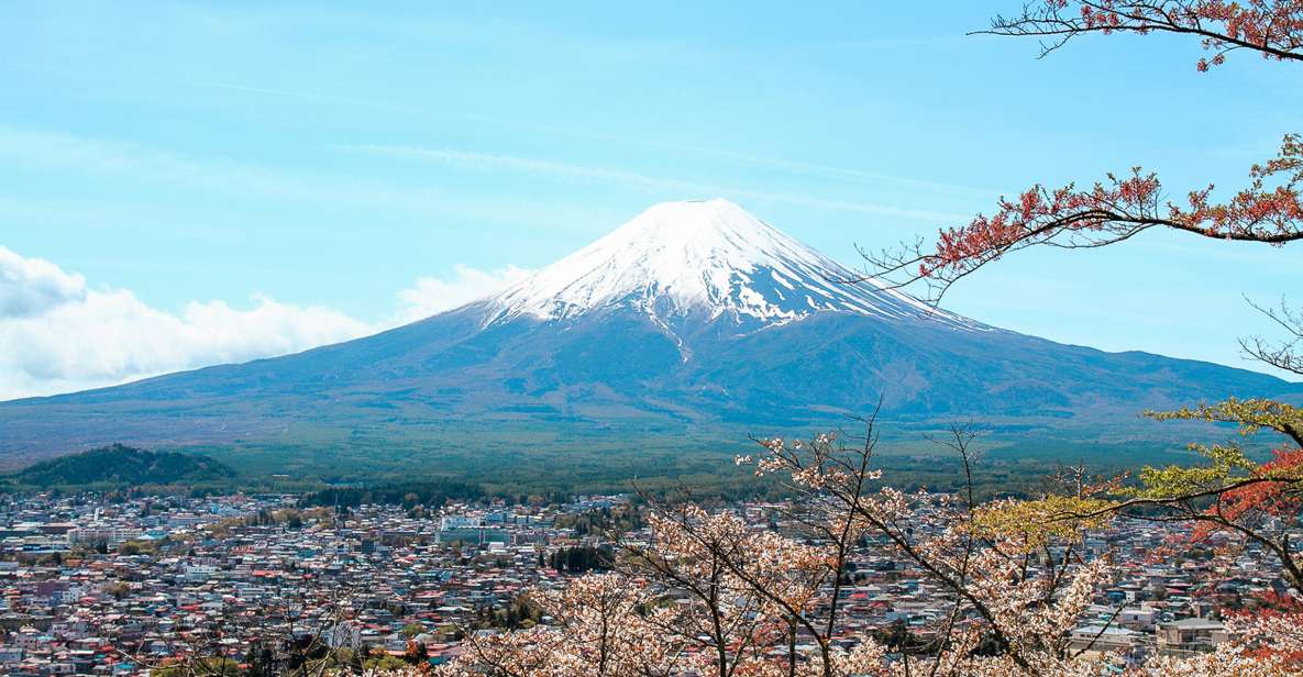 From Tokyo: Mt. Fuji Full-Day Sightseeing Trip - Oishi Park Photo Stop