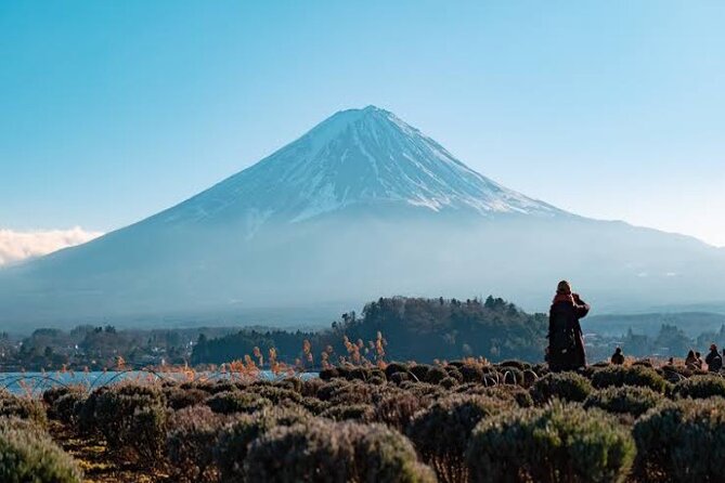 Full Day Private Tour With English Speaking Driver in Mount Fuji - Meeting and Pickup Details