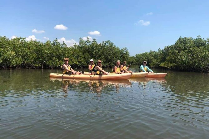 Guided Wildlife Eco Kayak Tour in New Smyrna Beach - Accessibility and Conditions