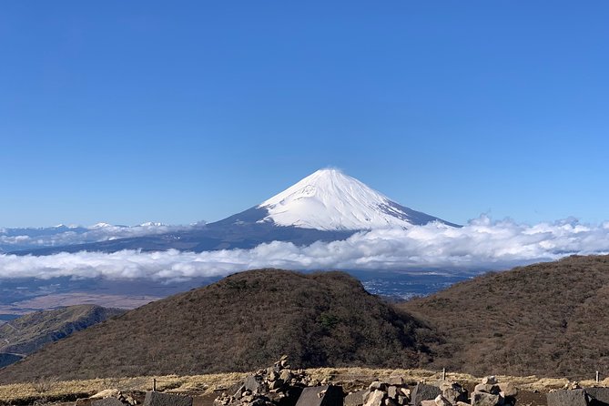 Hakone Private One Day Tour From Tokyo: Mt Fuji, Lake Ashi, Hakone National Park - Flexibility and Customization