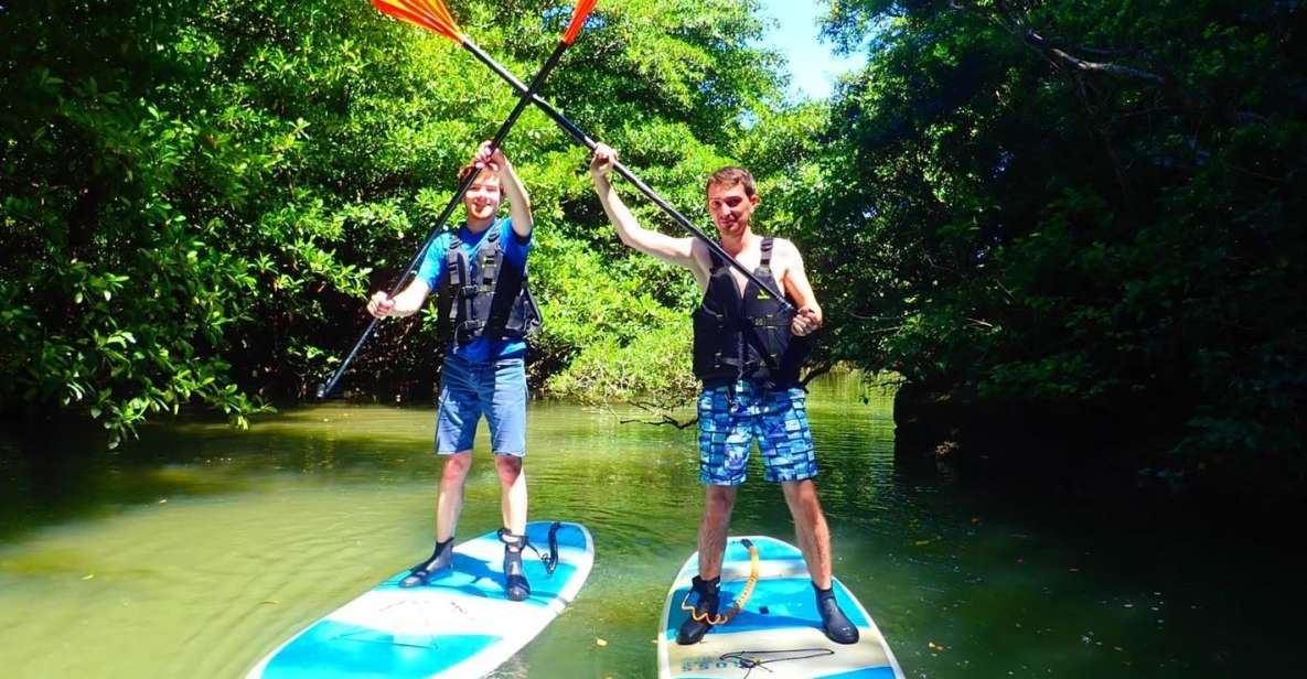 Ishigaki Island: SUP/Kayaking and Snorkeling at Blue Cave - Exploring the Mangrove Forest