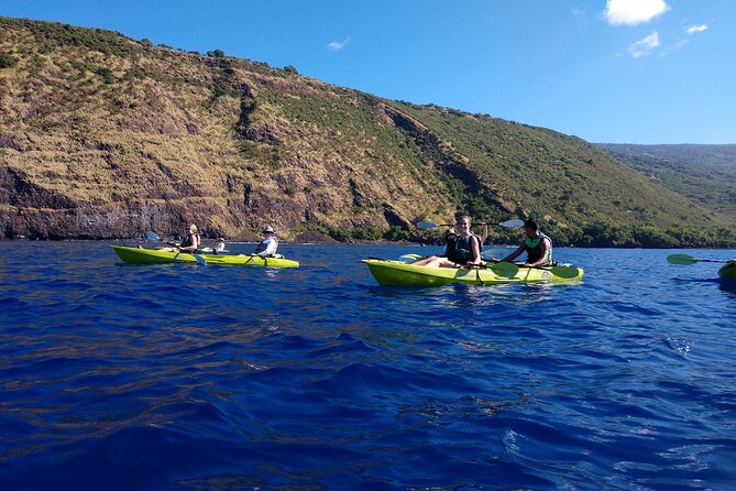 Kayak Snorkel Capt. Cook Monu. See Dolphins in Kealakekua Bay, Big Island (5 Hr) - Tour Duration and Group Size