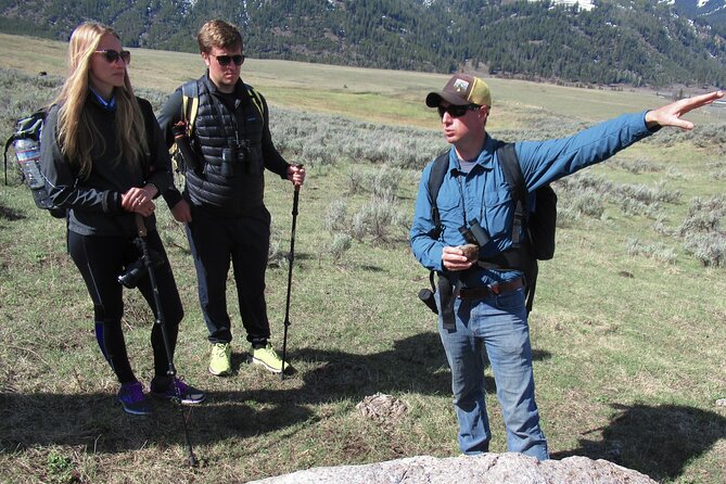 Lamar Valley Safari Hiking Tour With Lunch - Meal Options and Refreshments