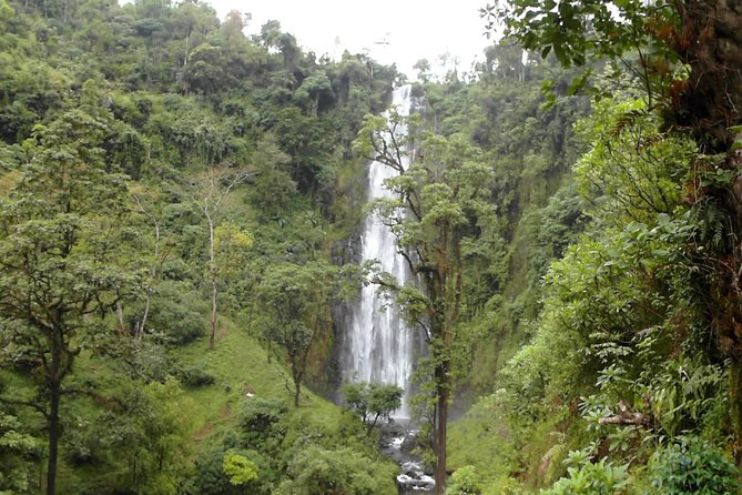Materuni Waterfalls & Coffee Tour From Moshi - Inclusions
