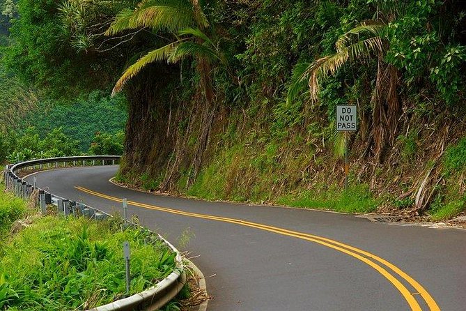 Maui Tour : Road to Hana Day Trip From Kahului - Included Lunch and Breakfast Options