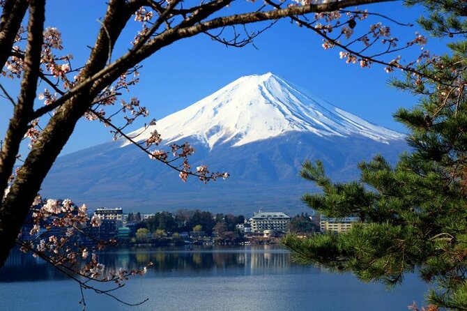 Mt. Fuji & Lake Kawaguchiko Private 1 Day Tour With Pick & Drop - Included in the Tour