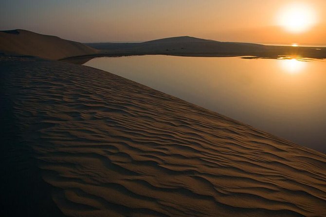 Night Desert Safari | Sand Boarding || Camel Ride || Inland Sea - Transportation and Pickup