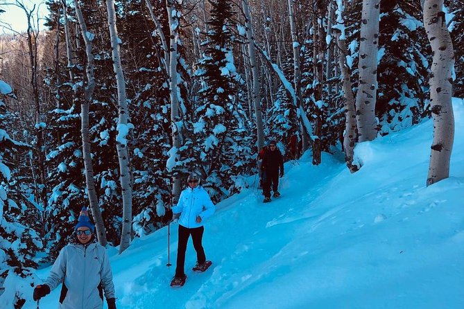 Private Guided Snowshoe Excursion in Park City (9:30am and 1:30pm Start Times) - Snowshoe Adventure in Park City