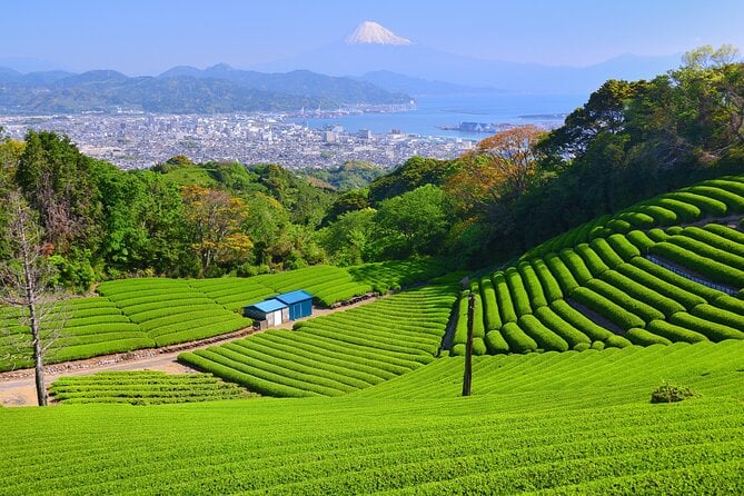 Private Sightseeing Tour in Shimizu Port by Sedan Taxis - Additional Information