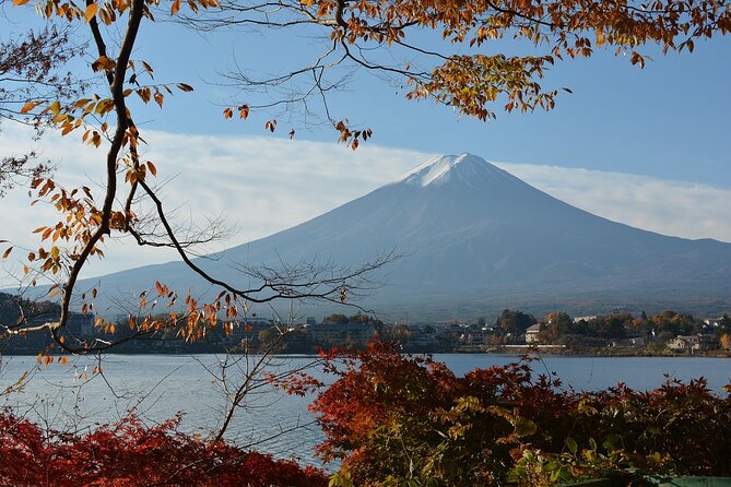 Private Tour to Mt Fuji and Hakone With English Speaking Driver - Tour Flexibility