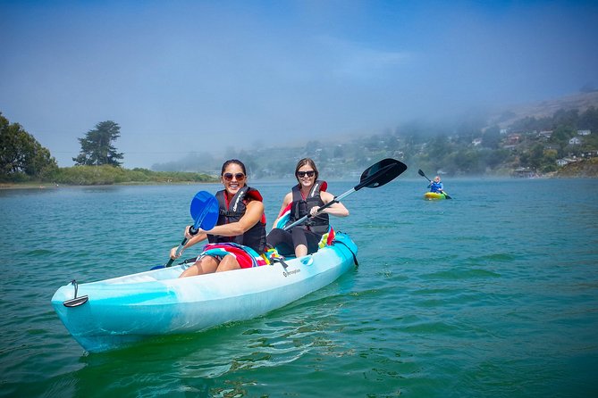 Russian River Kayak Tour at the Beautiful Sonoma Coast - Rugged Coastline Vistas