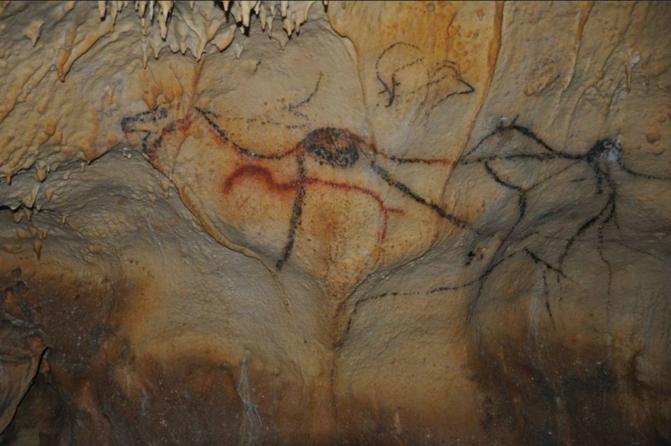 Sarlat-la-Canéda: Cave and Castle Private Tour - Cave Painting Marvels