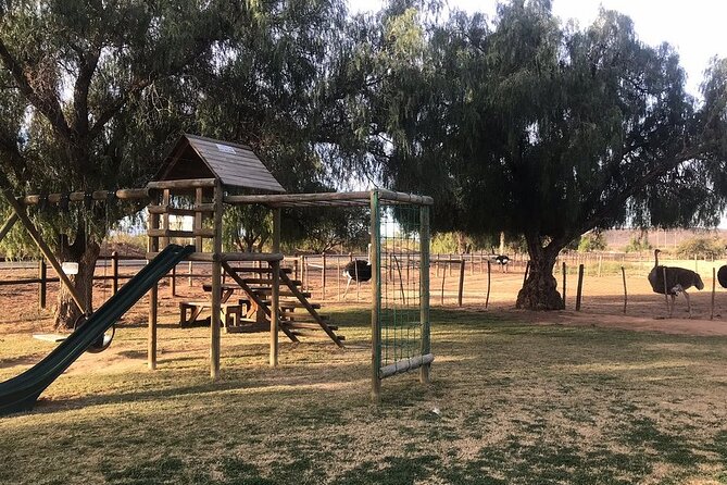 Skip the Line: Highgate Ostrich Farm Tour Ticket - Meeting and Pickup Locations