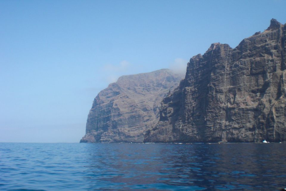 Tenerife: Luxury Private Whale & Dolphin Watching Tour - Wildlife Watching Activities