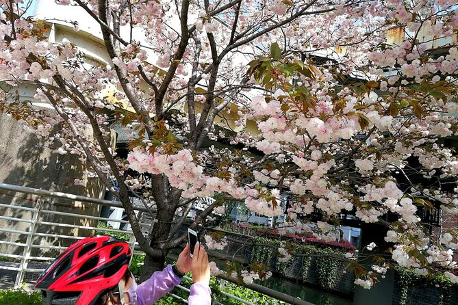 Tokyo Cherry Blossoms Blooming Spots E-Bike 3 Hour Tour - Tour Policies and Requirements