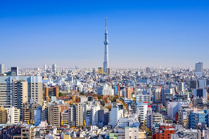 Tokyo Private Sightseeing Tour by English Speaking Chauffeur - Tokyo Skytree Ticket Recommendation