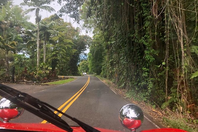 Unique Buggy Rental on the Big Island, Hawaii - Pricing and Inclusions