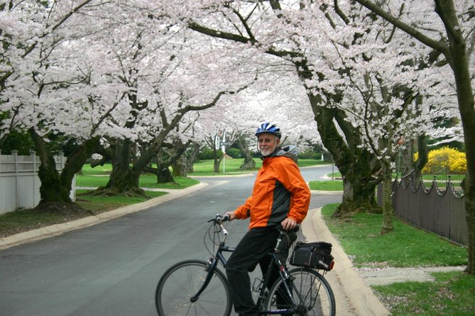 Washington DC Cherry Blossoms By Bike Tour - Tour Highlights