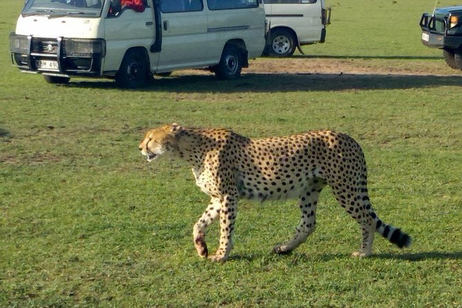3days-2nights-masai-mara-group-joining-safari-key-points