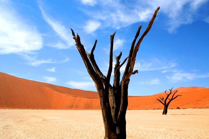 10-DAY Namibia Hightlights Guided Tour From Windhoek - Exclusions and Additional Considerations