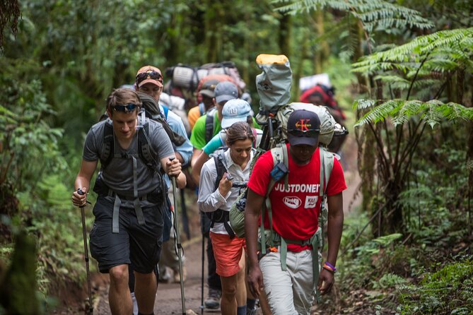 7-Day Machame Kilimanjaro Summit Tour From Arusha - Pickup and Meeting Logistics