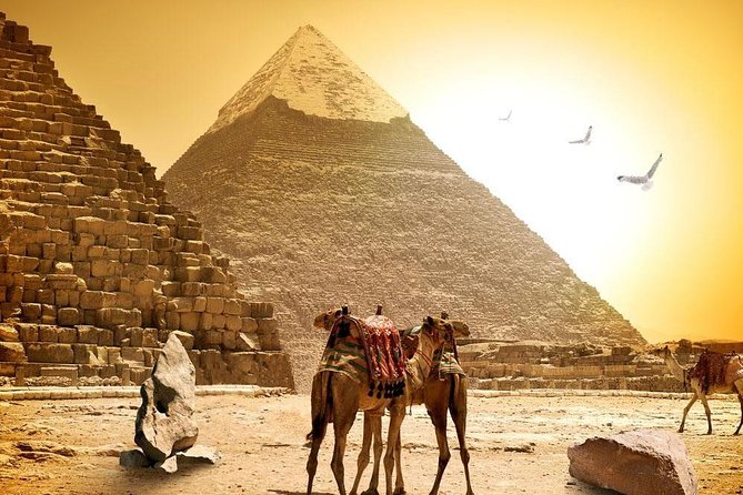 8-Day Private Tour Cairo, Aswan, Luxor and Nile Cruise Including Air Fare - Reviews