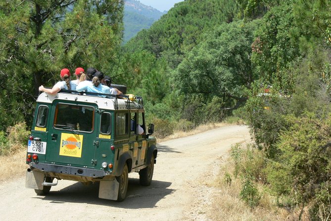 Authentic Andalusia - Jeep Eco Tour (Pick up From Marbella - Estepona) - Learning About Flora and Fauna