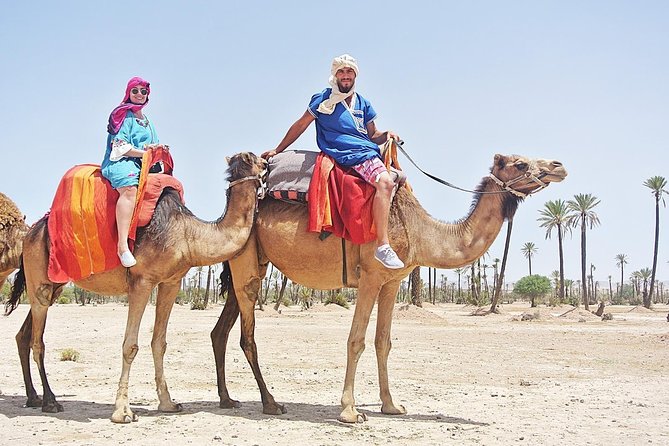 Camel Trek Around Marrakech Palmeraie - What to Expect