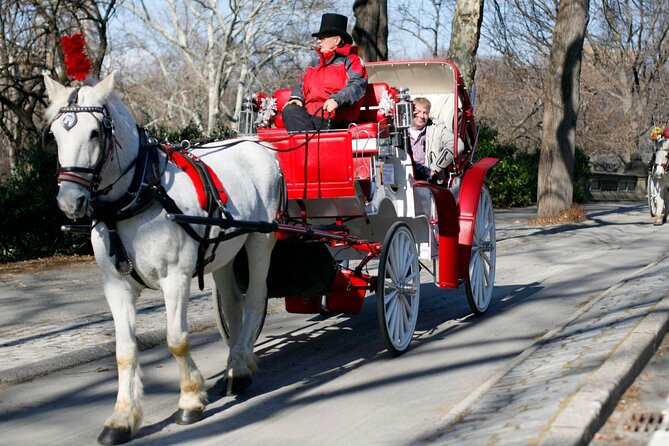 Central Park and NYC Horse Carriage Ride OFFICIAL ( ELITE Private) Since 1970™ - Highlights of the Experience