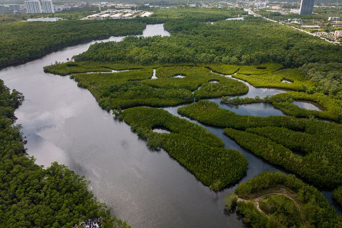 Clear Kayak Tour in North Miami Beach - Mangrove Tunnels - Meeting Point and Group Size